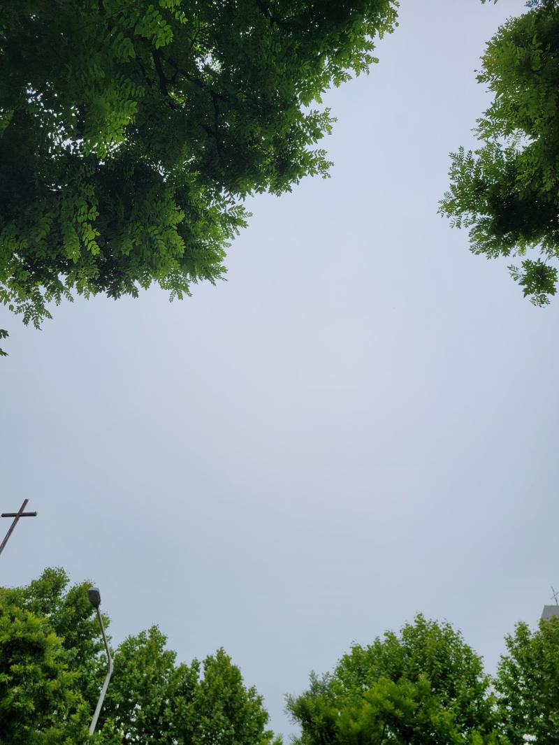 흐린날씨와 함께 출발해서 도착한 부천역! 오자마자 물품보관함을 찾기! 리번두리번하며 던킨도너츠도 지나치고 이마트 입구도 보며 그렇게 찾은 물품보