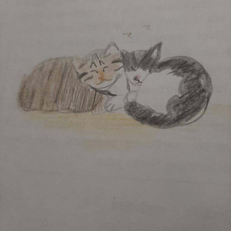 >>18