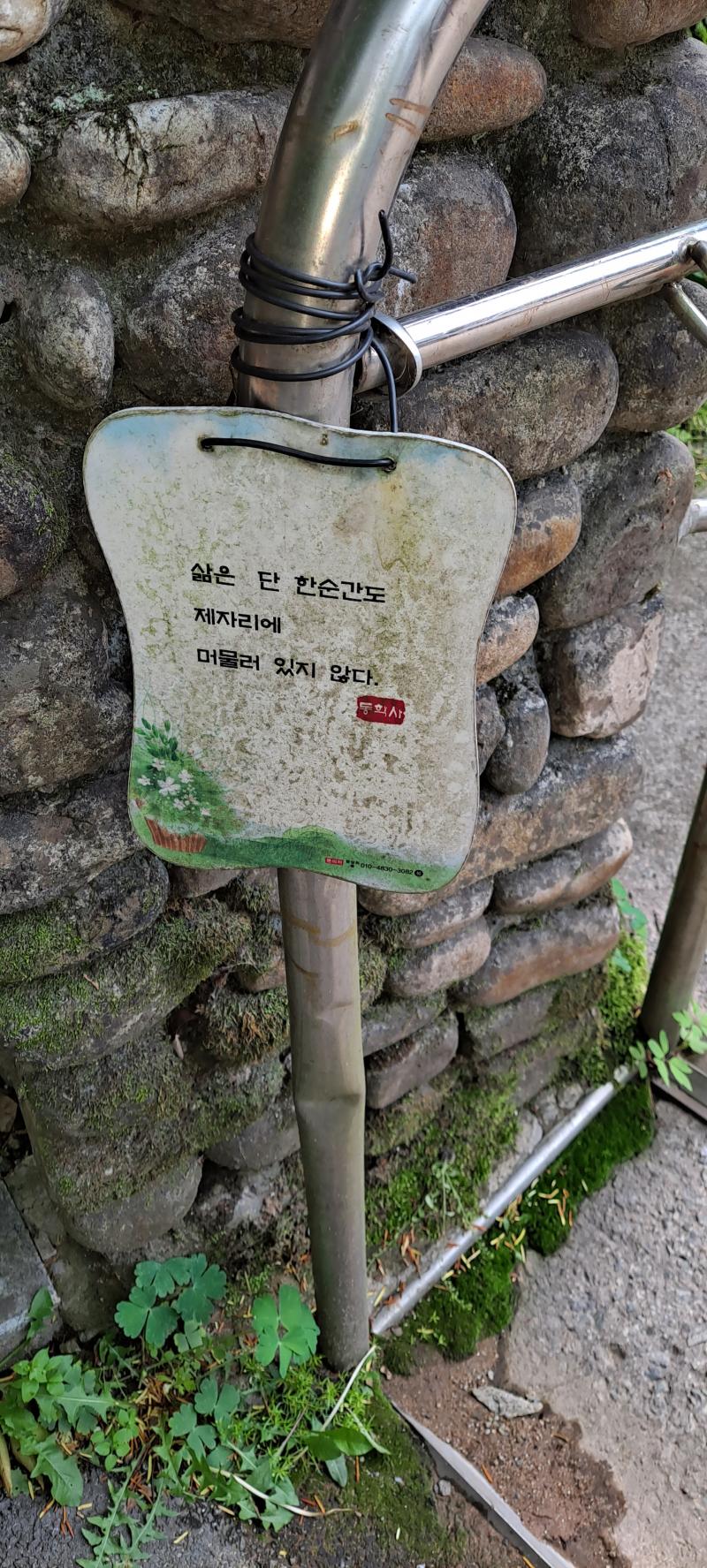 그렇다고 한다