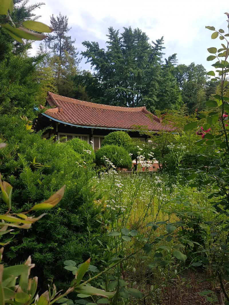 철창이 있는 신당이랑 저 나무벽이랑은 별개의 장소 같아. 좀 떨어져 있고 분리되어 있는 것 같았어. 잘 보이지는 않지만...