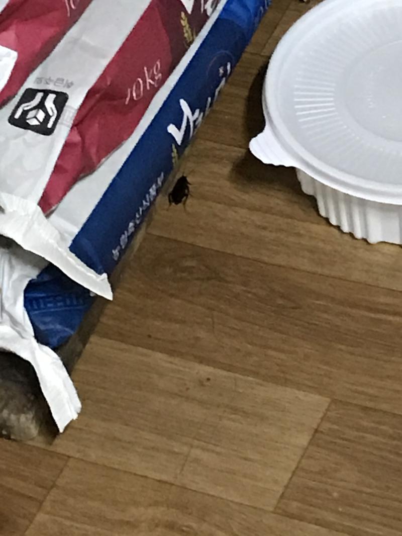 애들아젭알.....도와줘