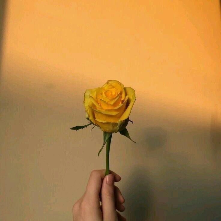 ์๋
์ค๋์ ์ด ์ค๋ ๋ฅผ ์ฒซ ์์ํ๋ ๋ ์ด๋ค, ๋ค๋ค ๋ฐ๊ฐ์. ๋ด๊ฐ ์ด๊ฒ์ ์ผ๋ง๋ ์ค๋ซ๋์ ํ ์ ์์์ง ์ ๋ชจ๋ฅด๊ฒ ์ง๋ง.. ์ค๊ฐ์ ๋ด๊ฐ ์ฌ๋ผ์ง๋ฉด ๋