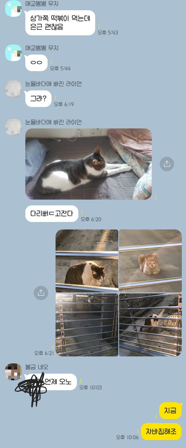 주로 자바칩프라푸치노를 주문하는 편