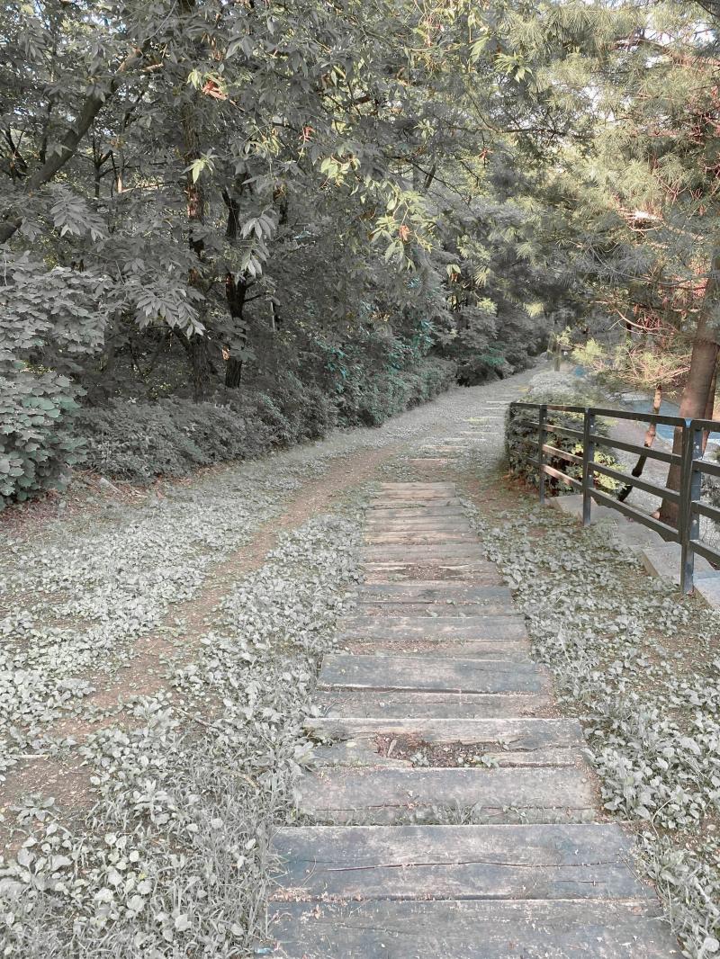 어제 산책다녀왓어 ;)