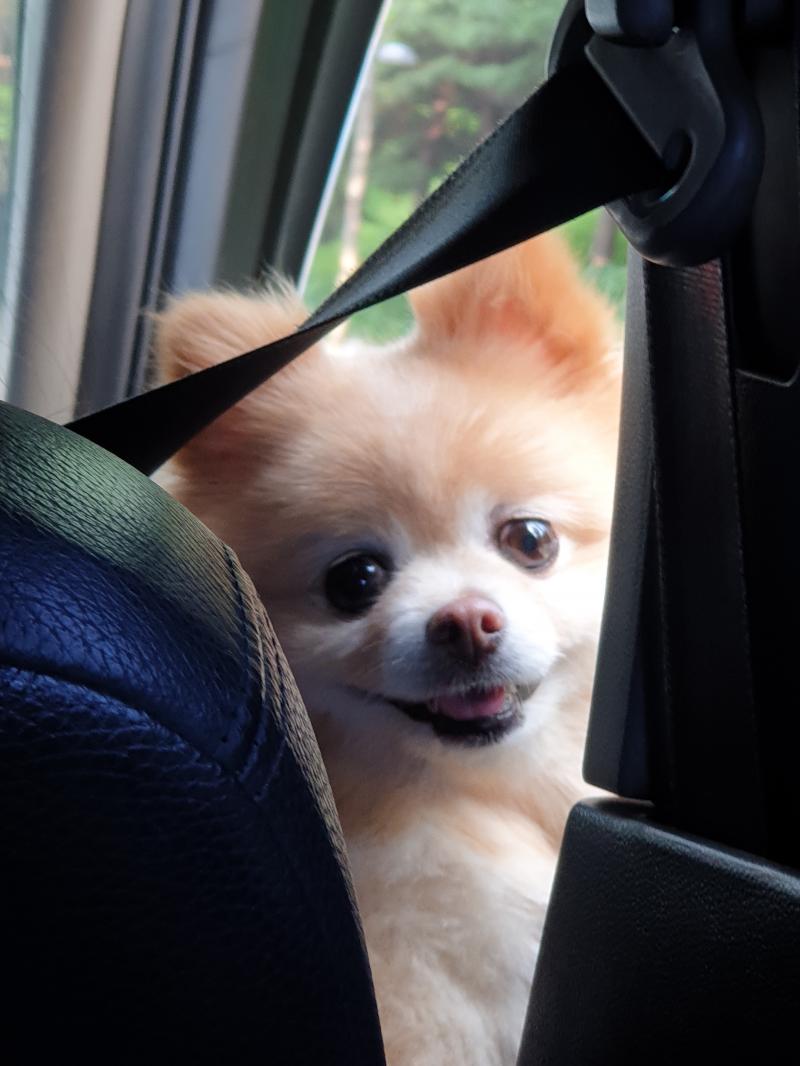 우리애기 열두살