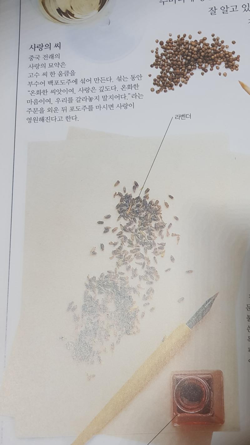 이거 재밌어보이는데 비둘기의 피?라고 불리는 잉크가 없음...그냥 붉은 잉크로 해보까??