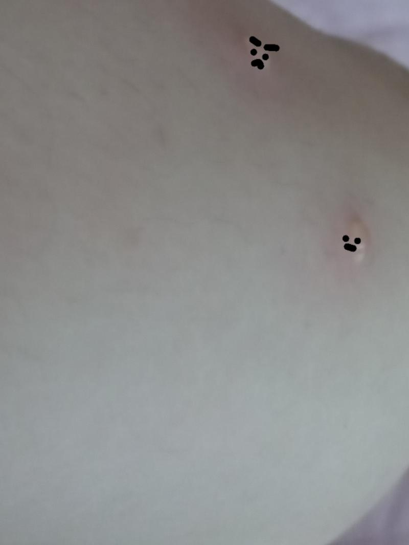 이름도 붙여줬어 눈썹 진한 애가 루뾰고 약간 순진해 보이는 애가 루퉁이야