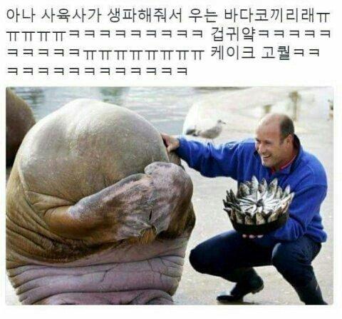 ,