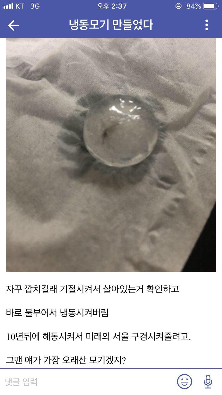 심지어 냉동 모기도 있음