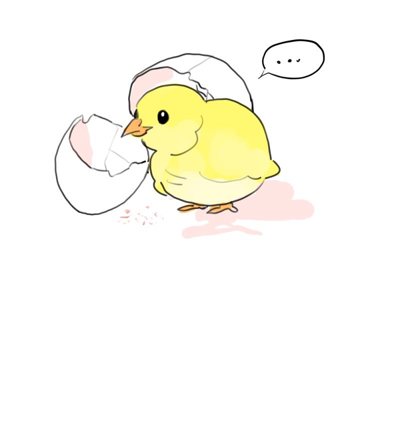 가여운것