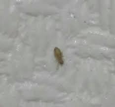 이케 생겼으면 책벌레