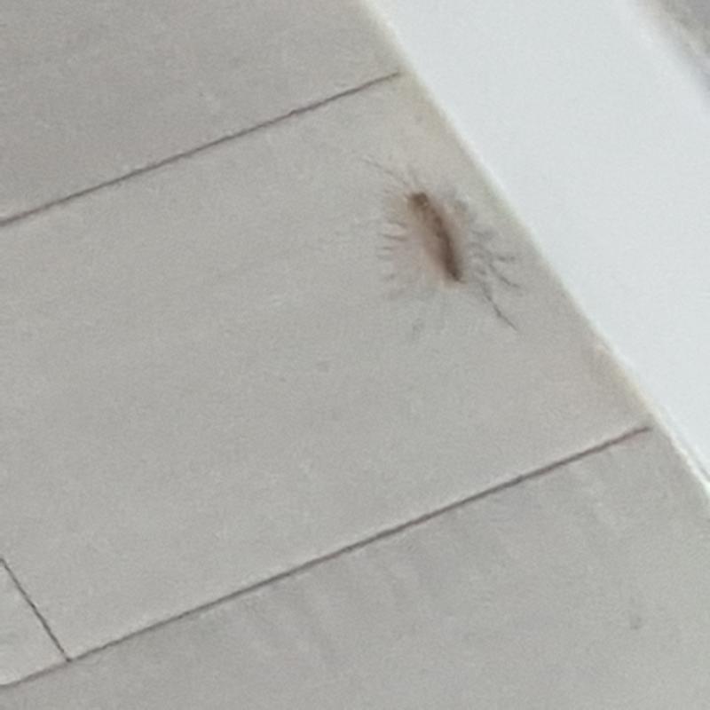 허ㅛㅣ발 이거뭔벌레임...ㅋㅋㅋㅋㅋㅋㅋㅋㅋㅋㅋㅋㅋㅋㅋㅋ시바료ㅏㄹ려줘