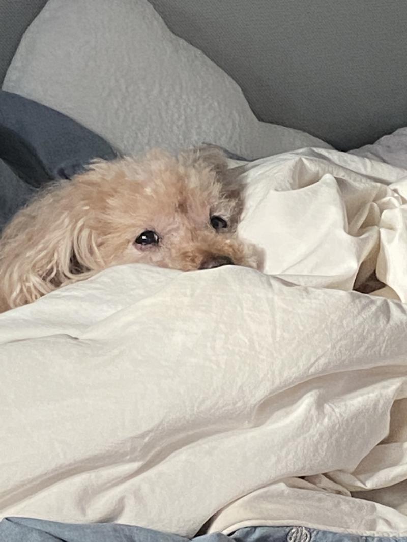 ㅎㅎ