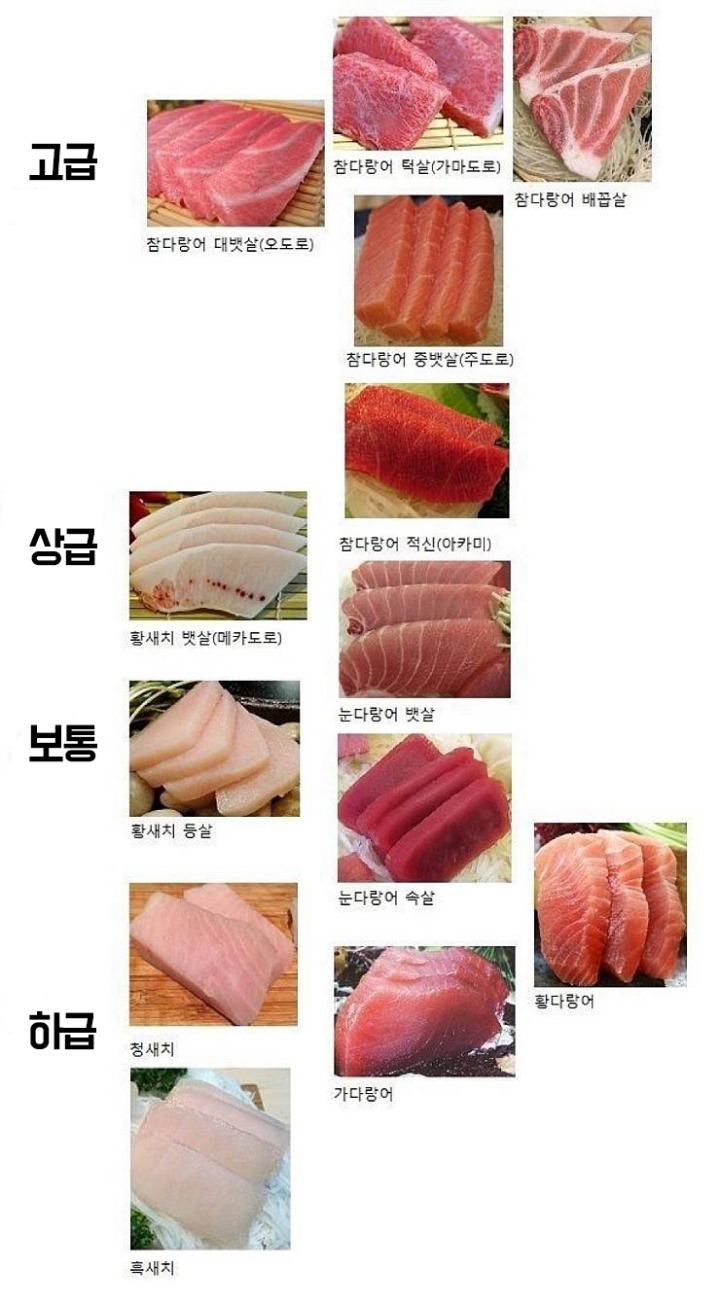 참치의 계급