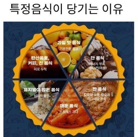 특정음식이 당기는 이유
