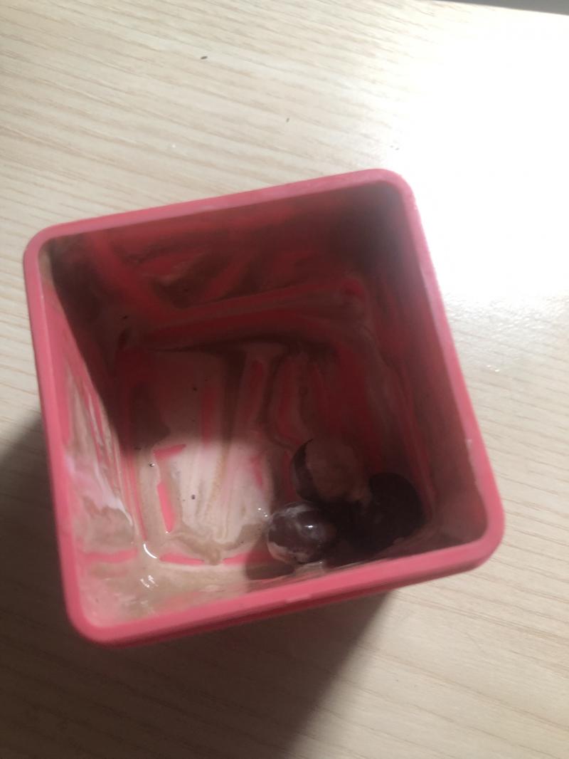 진짜 너무한거 아니냐