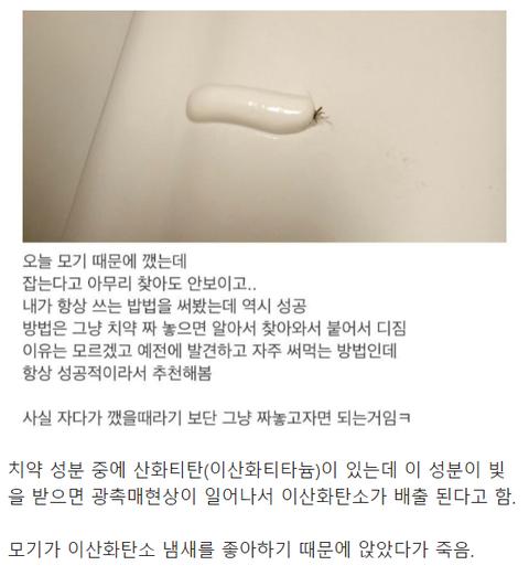 모기잡기) 치약