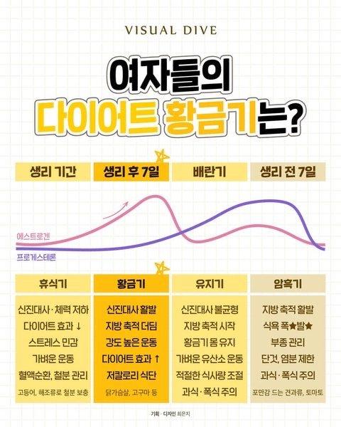 다이어트) 여자 다이어터 황금기