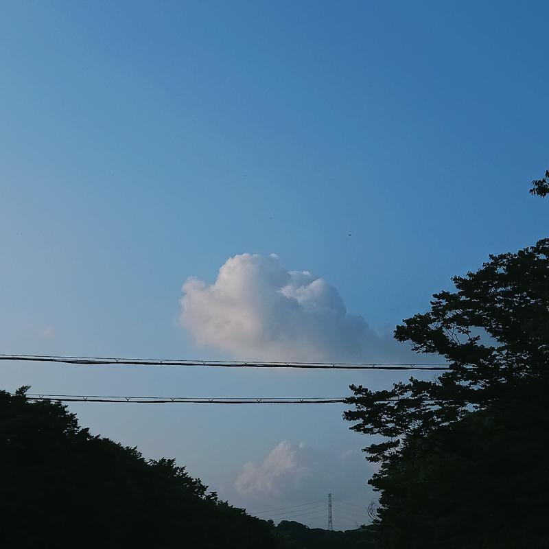 >>687 우리가 제법 멀리 떨어져 살고 있나봐. 내가 사는 곳은 목요일에 조금 흐렸거든. 흐려도 예뻤단 뜻일까? 내가 그날 하늘을 보질 않아서