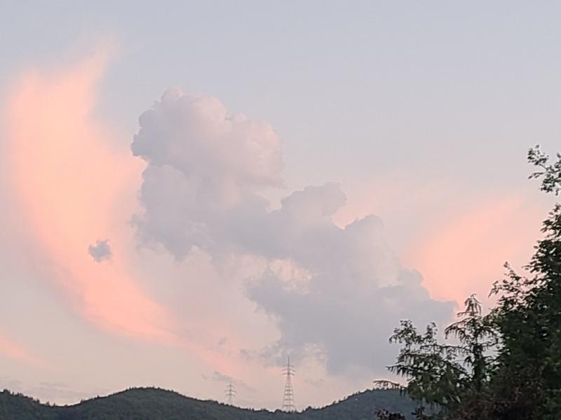 >>988 당근이지!🥕🥕 구름에 노을 빛이 묻었길래 사진도 찍었당!😉