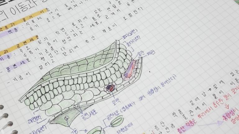 오...난 아직 못 고쳐서 뭐든간에 다 영혼을 갈아넣어야 직성이 풀려... ㅅㅂ 하다못해 작년에 온클로 비대면 수업 들을 때 쌤들이 올린 강의