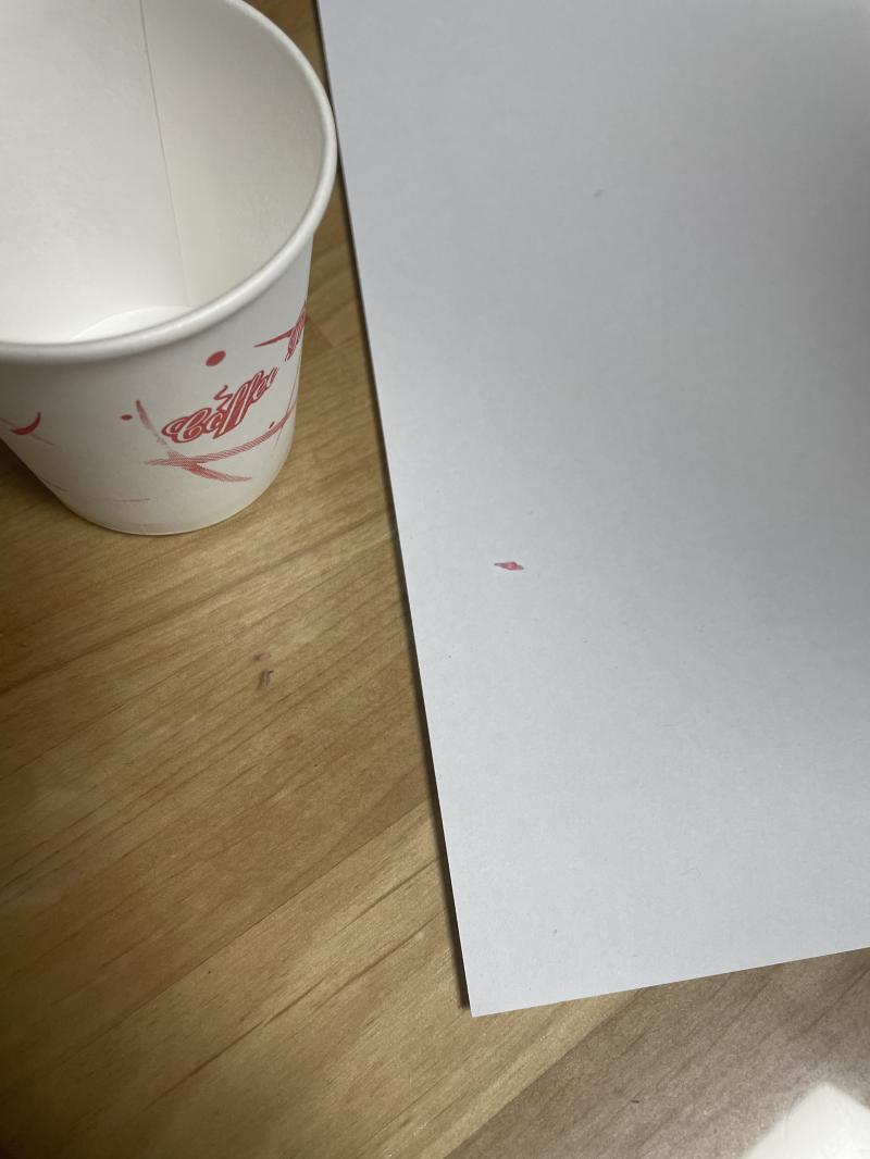 일단 우리반애가 이걸로 잡는걸 봤ㄴ으니까 도전해보겠어
