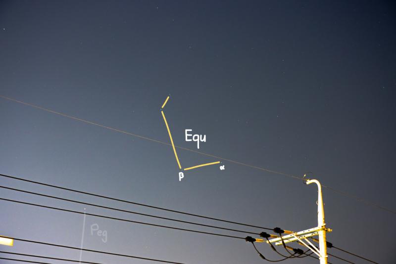 오늘은 좀 피곤해서 일찍 올릴게! 이번 별자리는 조랑말자리! (Equuleus/Equ) 페가수스자리의 맨 오른쪽 다리의 발끝에서 찾을 수 있어.