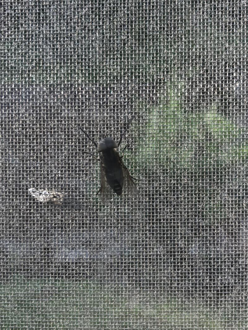 이렇게 생겼어.
