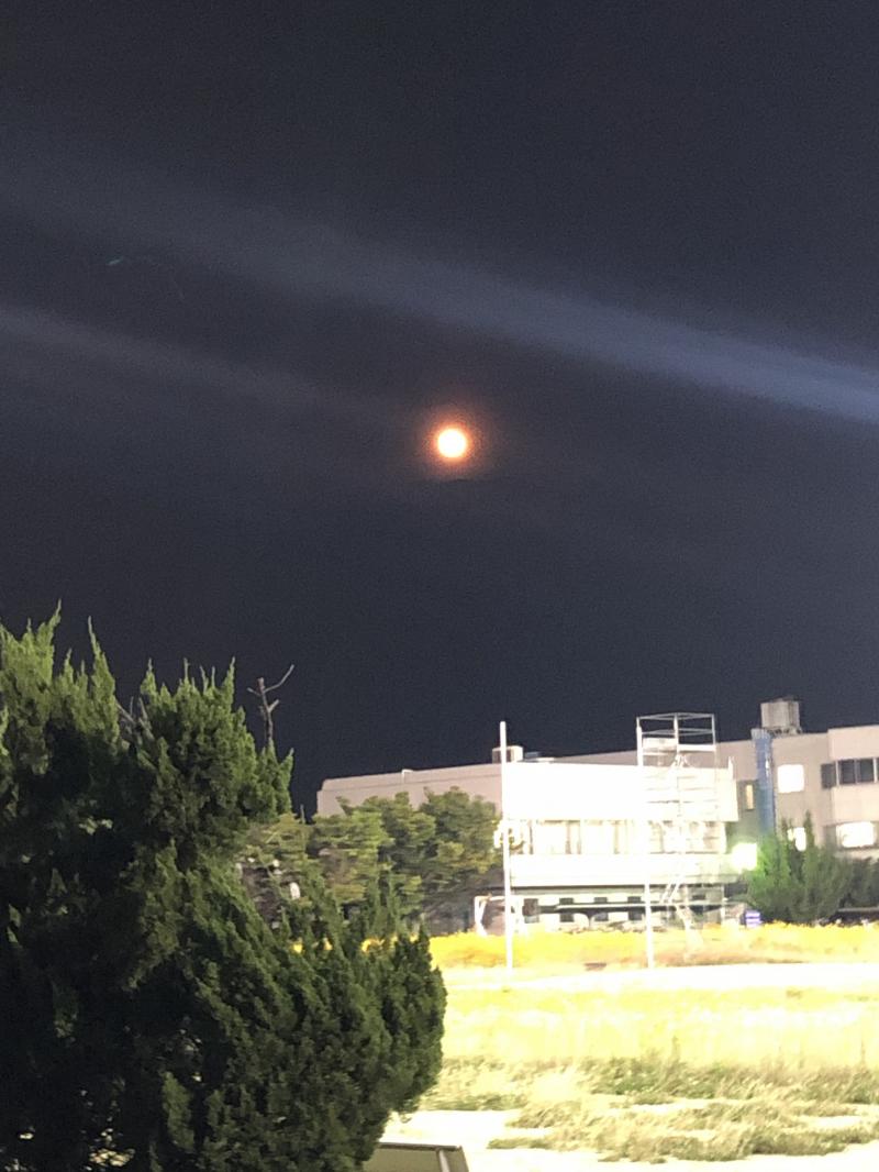 지금 밖에 달 엄청 이뻐 스트로베리문이래 쌤한테 달이 참 예쁘네요 보내봐 ㅎ 이거 아이 럽 유 뜻이니까 ㅎ>>794