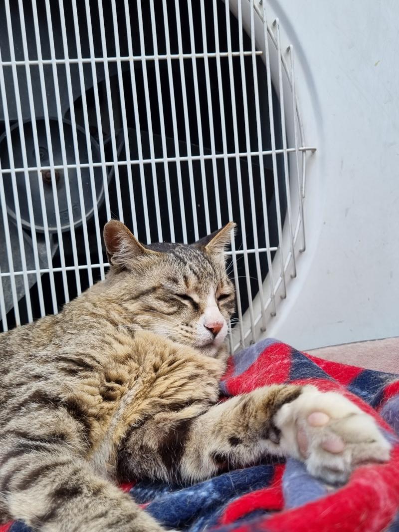 잘자넹