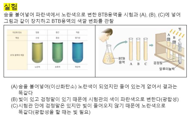 일단 광합성