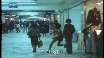 냥