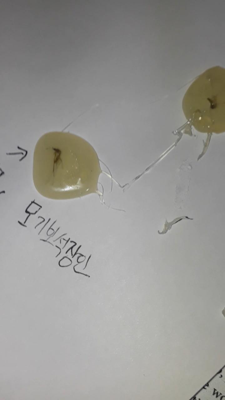 그렇게 막 혐은 아님