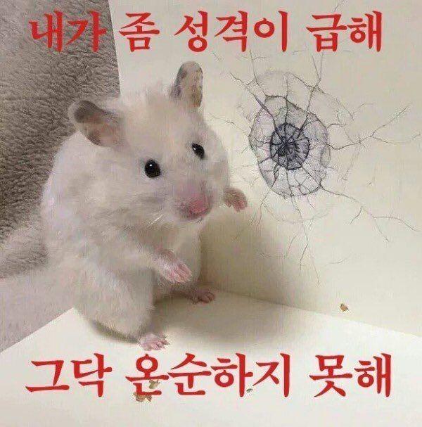 .