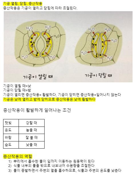 증산작용~