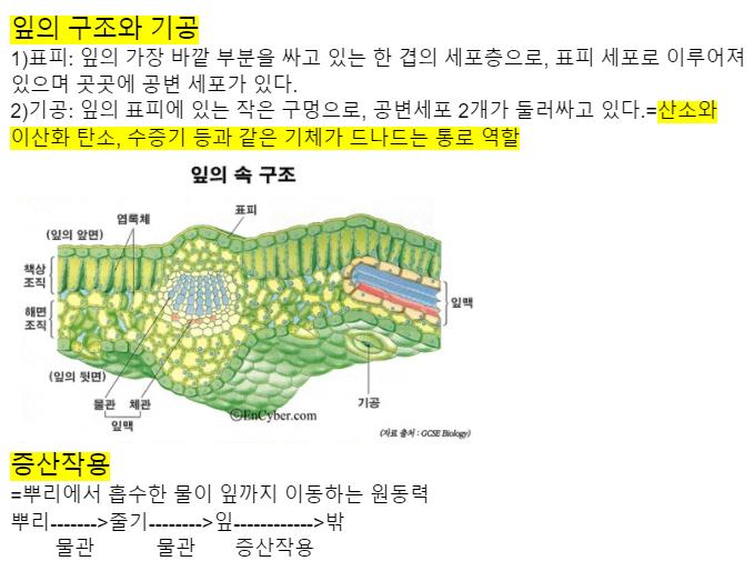 증산작용~