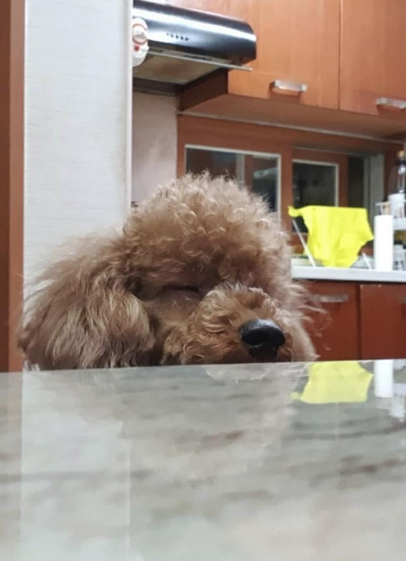 울집 와기 좀 보세요