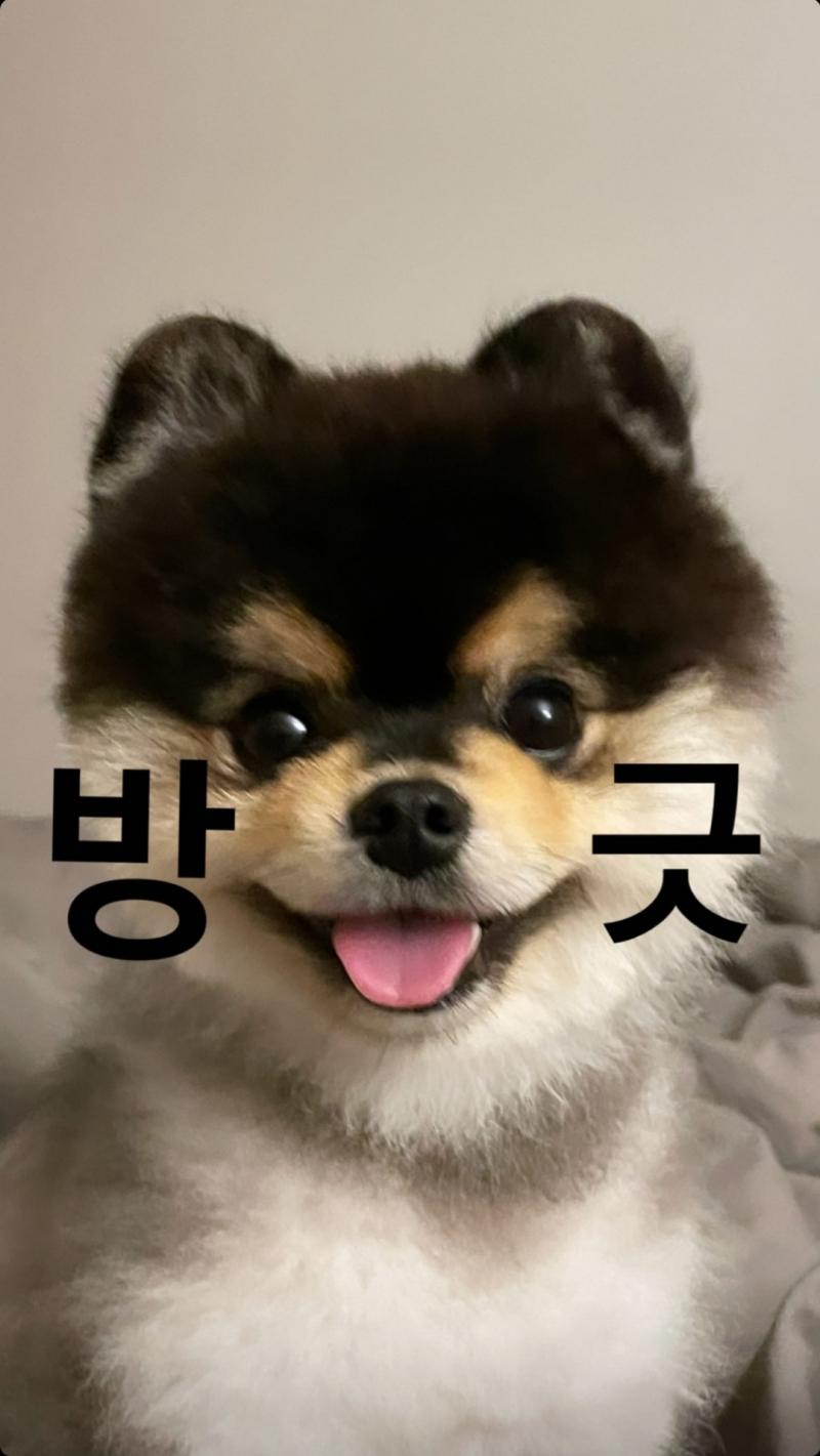 히히