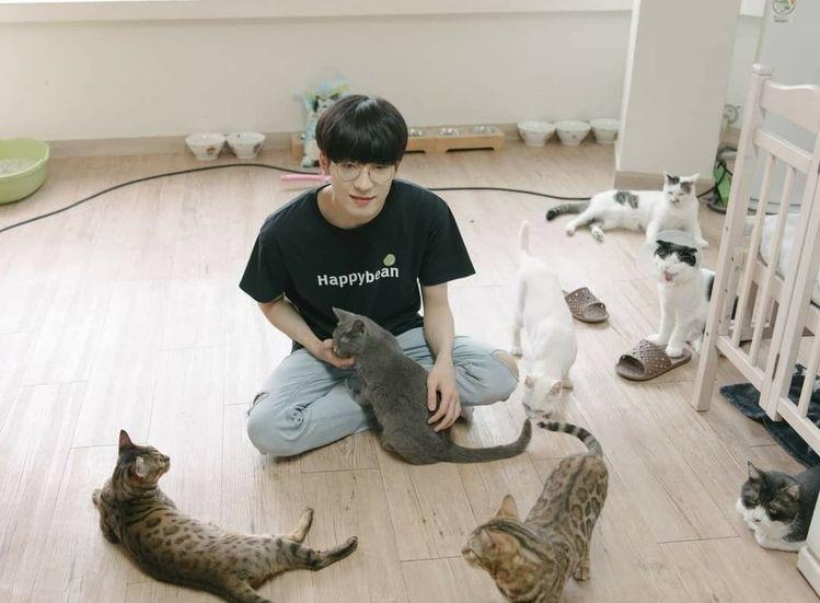 대장 고먐미랑 기여운 고앵이들🐱✨