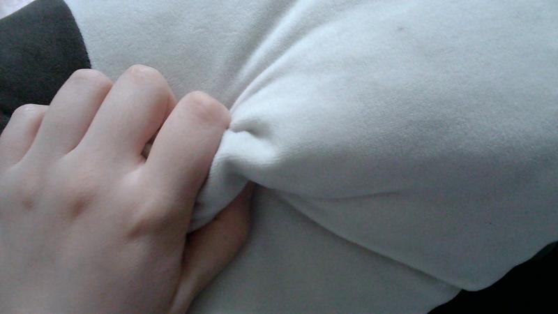 작지 않은 크기의 폭신한 몸