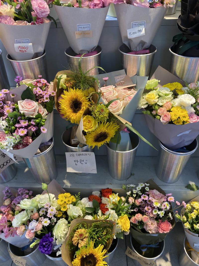 지금 중고등학생들 기말고사 치는 기간인가보다 쌤 웬일로 학교 일찍 끝나심(๑˃̵ᴗ˂̵) 같이 꽃보러 왔어!!