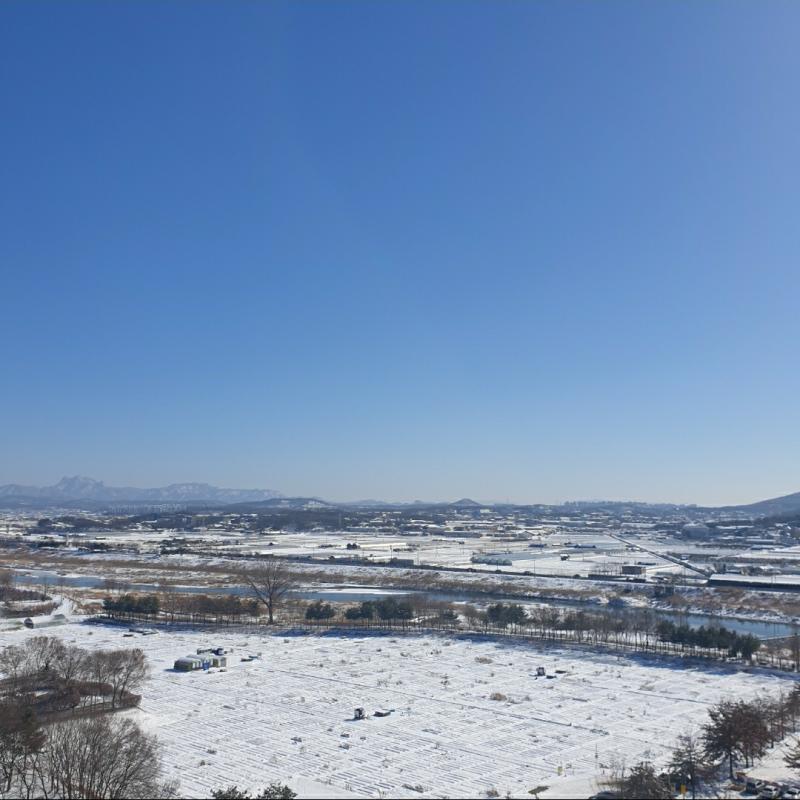 겨울날 눈을 찍어봄☃️