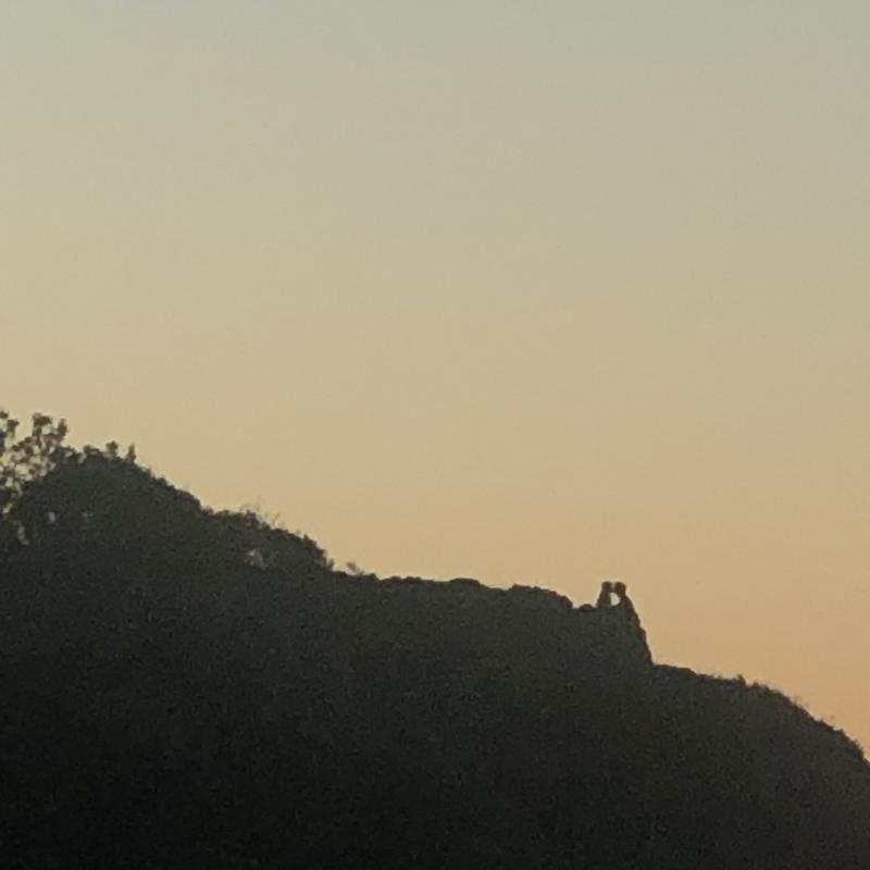원본 편집본