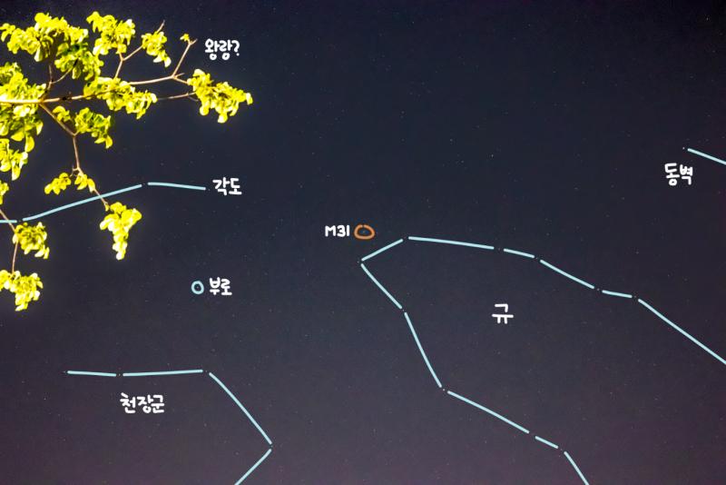 역시 아무것도 안 올리는건 너무 심심해서 조금만 더 뇌절할게... 안드로메다 은하 좀 찍어보려고 했는데 내 카메라 렌즈로는 이 정도 밖에 확대가