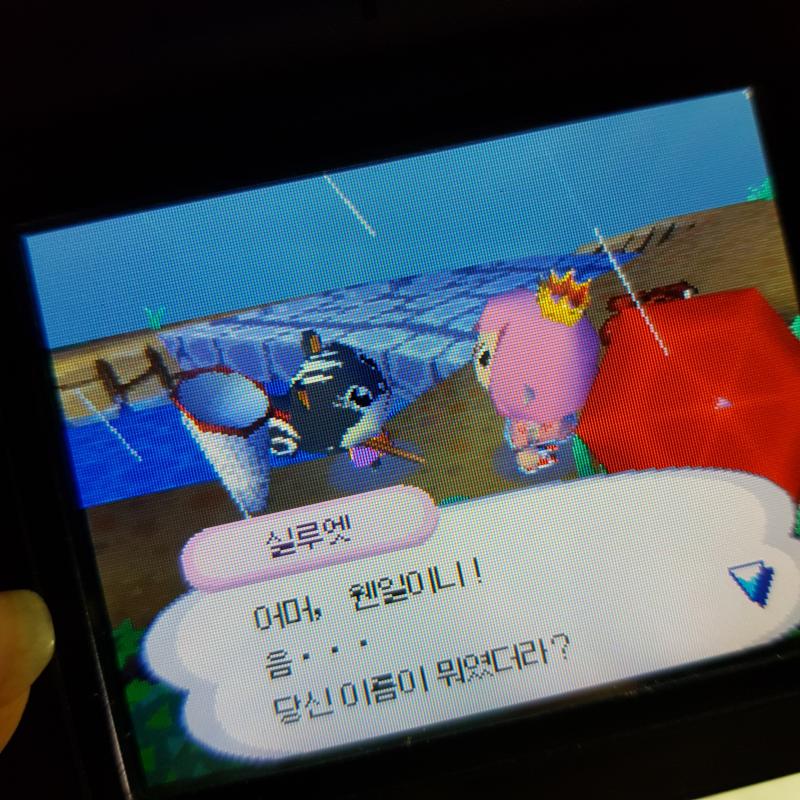 우리 마을에 서머랑 1호 있었어ㅠㅠㅠㅠ 다 나랑 친구엿어 눈물나