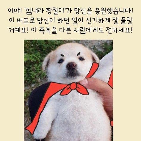 >>9 와…