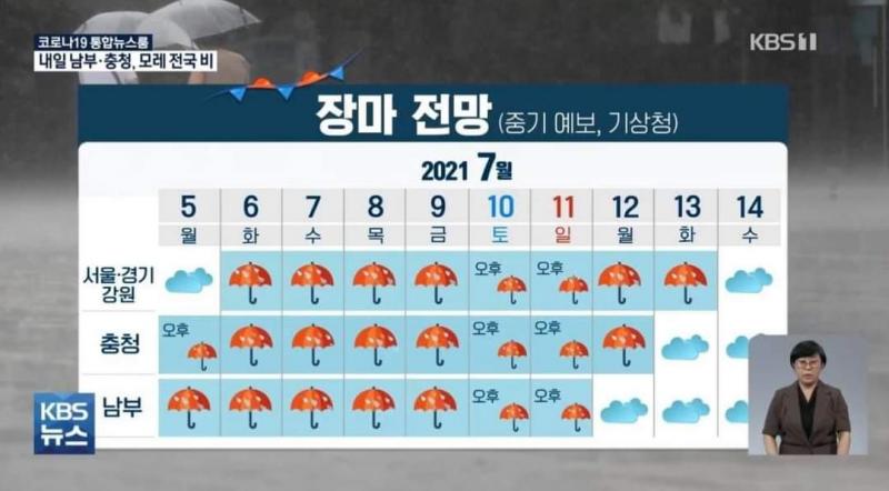 내가 뭘 본거지 시발