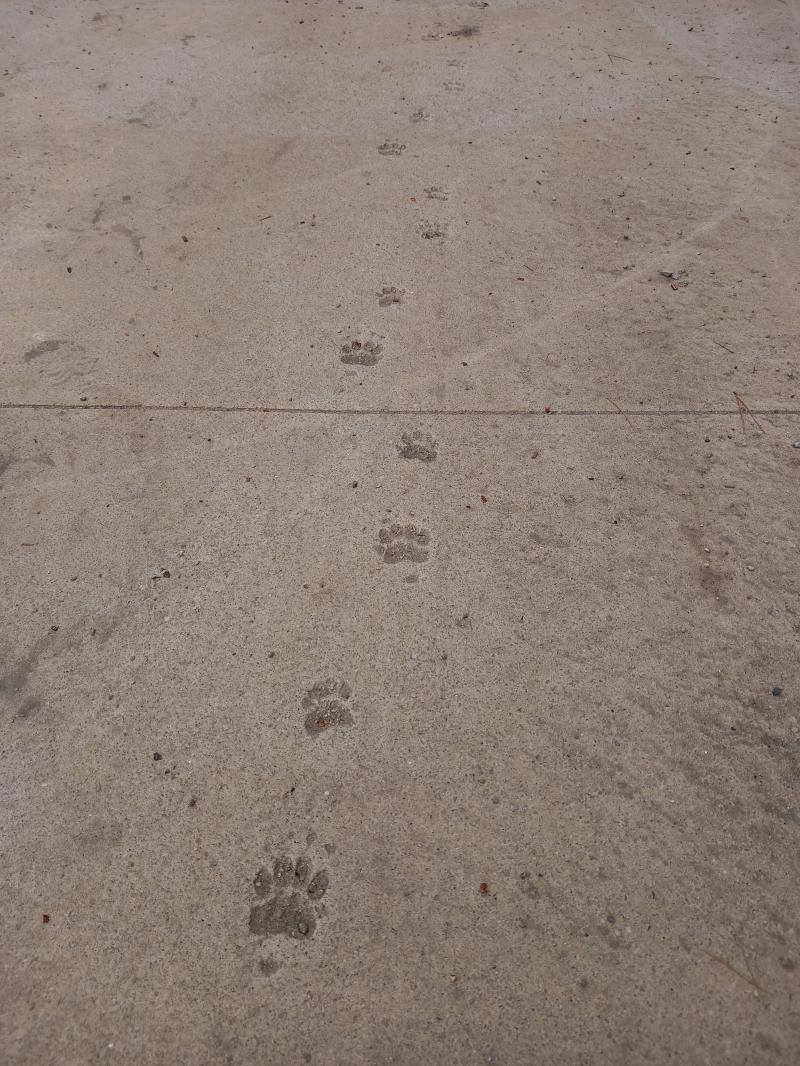 음... 내가 좋아하는 짝남이 있는데 카카오톡 오픈 채팅에서 알게 됐어..(이상한 거 아는데 그런 눈으로 보지는 말아줘... ㅠㅠ) 내가 우울증