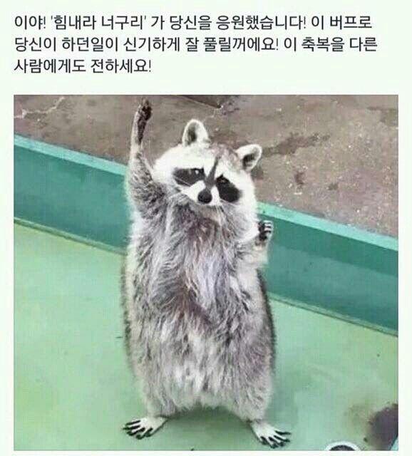 >>9 와…