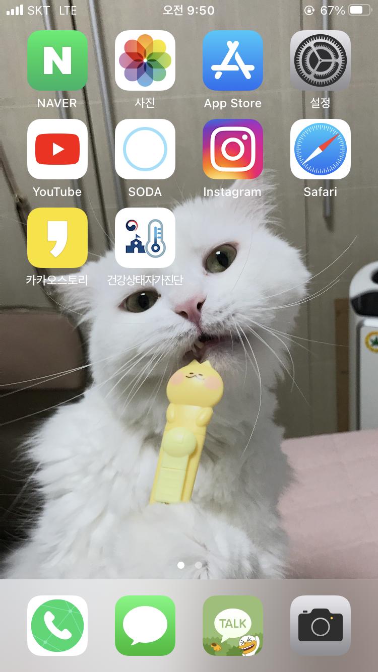 범성애쓰